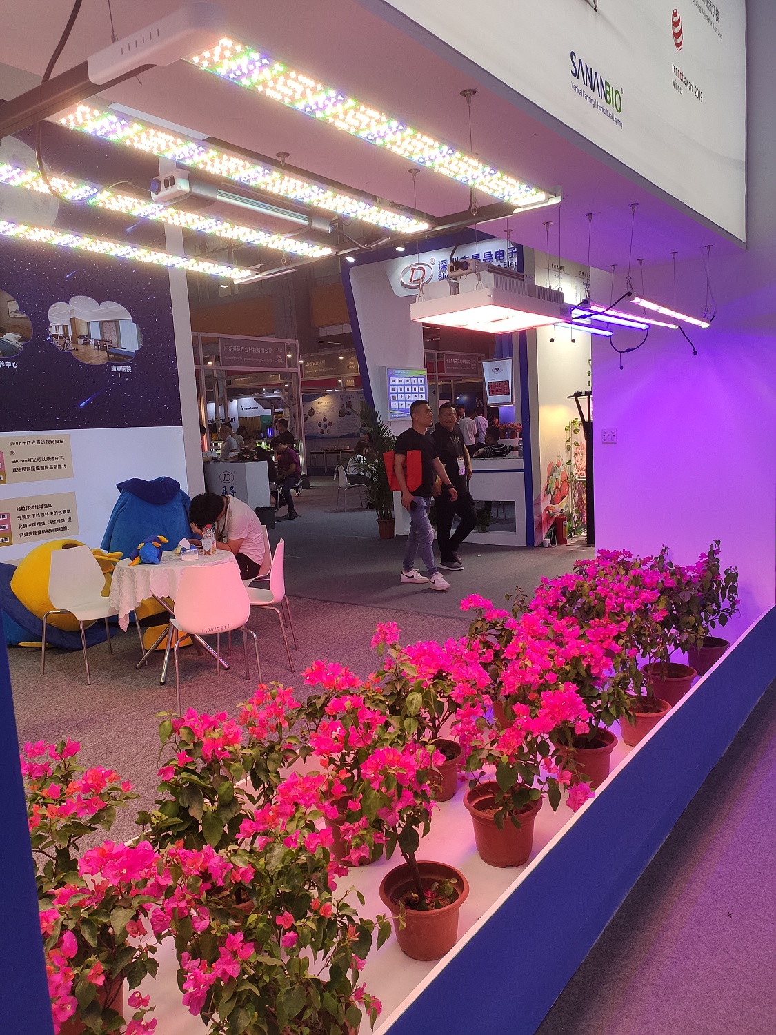 LED China 2024: Новые Горизонты Светодиодных Технологий в Гуанчжоу! 